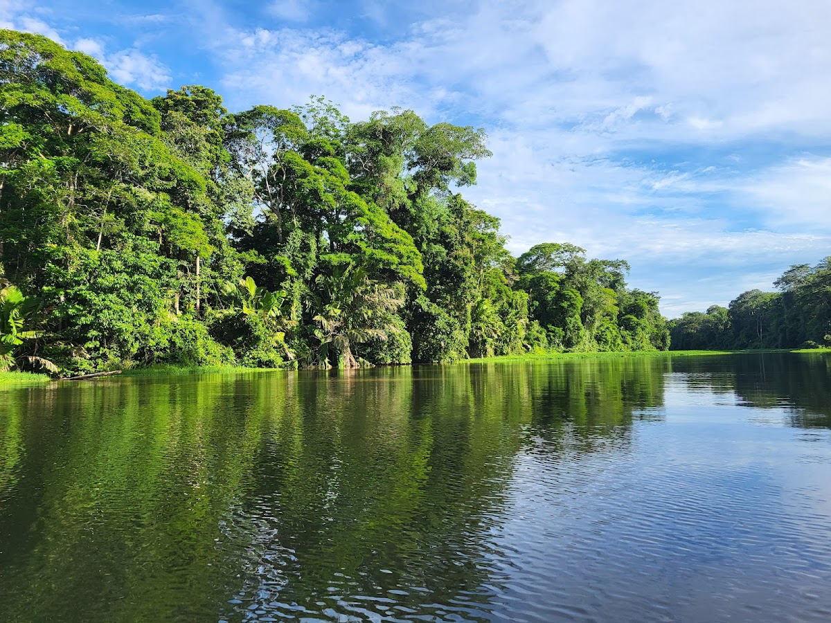 Tortuguero, Caribe Norte — Costa Rica Travel TV